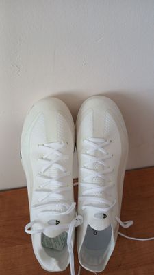 airzoom sarakanoshka
