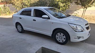 Кобалт пазция 2 2019й