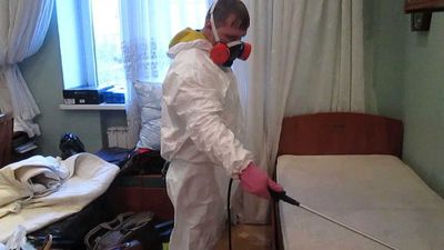 Дезинсекция от насекомых дезинфекция dezinfeksiya dizinfeksiy klopa