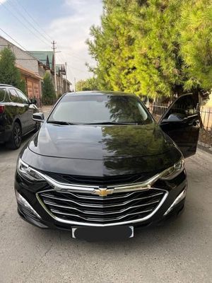 Malibu 2022 primer