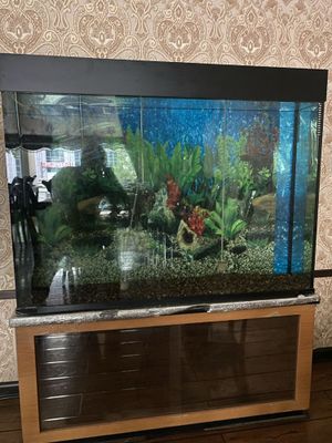 Аквариум, Akvarium
