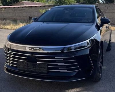 Byd Chazor Luxe 55 km