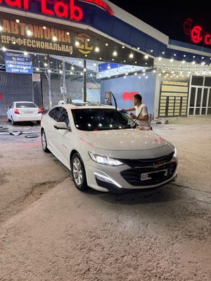 Malibu 2020 primer