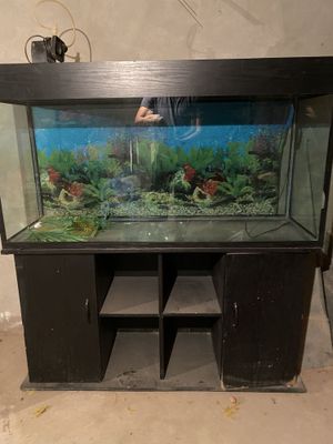 Baliq uchun akvarium