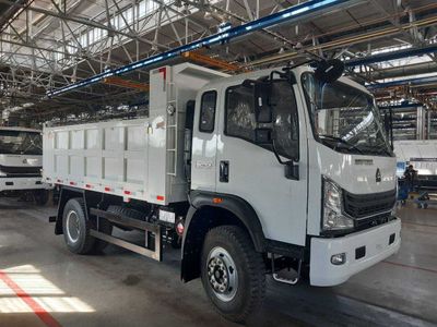 Автосамосвал Sinotruk (CNHTC) Homan-H3 4x2 (160 л.с. 9 куб.м)