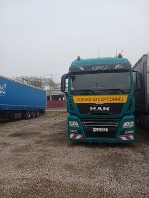 MAN TGX 460 evro 6