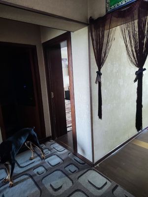 Сдам квартиру семье, 3х комнатная 87 квадратных метров. 9 этаж