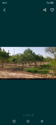 Кумкургон тумани Корсокли МФДан