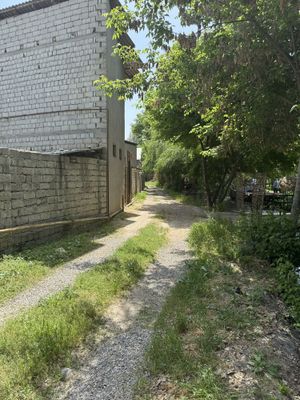 1,5 соту ер. Бектемир ул. Зиёли