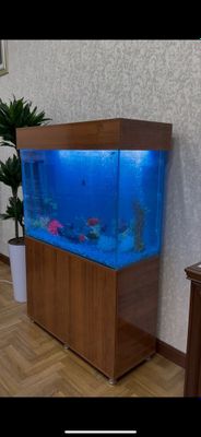 Akvarium tozalash xizmati Чистка ,обслуживание аква риума