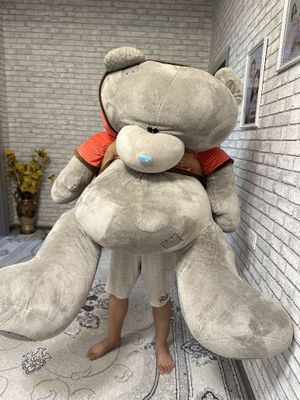 Teddy мишка сотилади нархи келишилади
