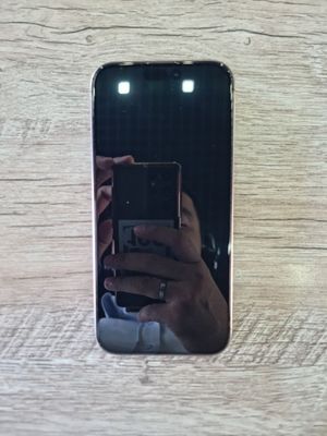 iPhone 13 Promax