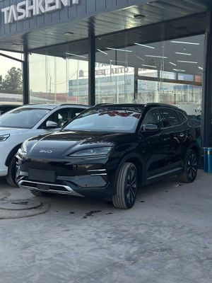 Таййор НАТАРИУС. BYD Chempion 2024 GA 2025 Restayling 605 full