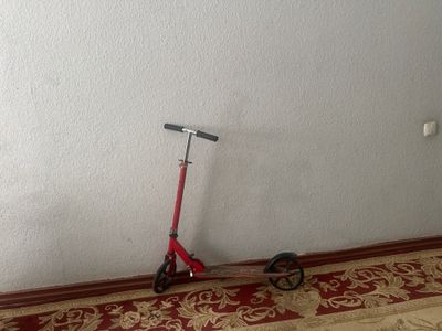 Samakat holat yahshi
