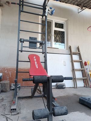 sport trnajori mishok