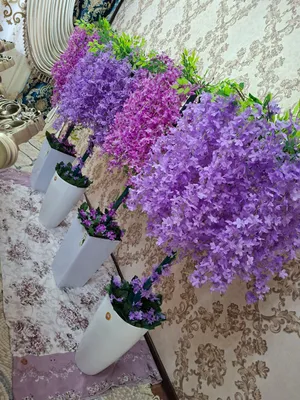 uy va hovlilariga chiroyli berish uchun manzara gu