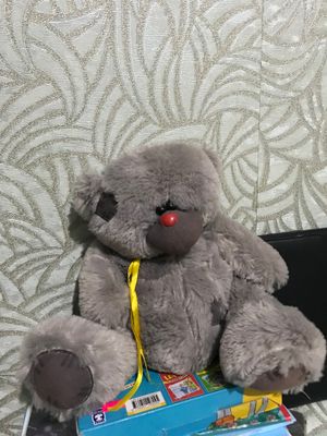 Teddy