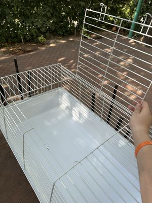 Hujayra ( клетка )