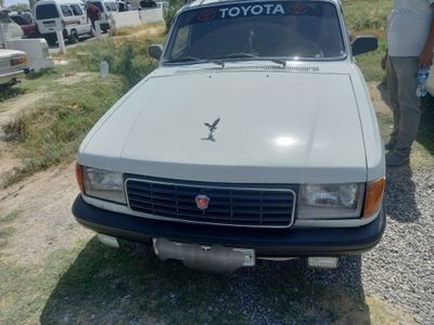 Volga 31029 oq rangda