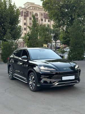 Byd champion gibrid full 150 km
