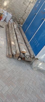 Болорлар сотилади