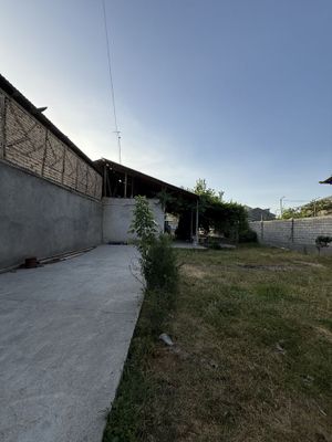 Продаётся дом 6 соток Кибрай, Дурмон, Янги Аргин