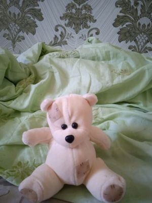 ayiqcha kichkina NARX 15.000