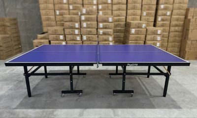 Теннисный Стол Plyus gym-5
