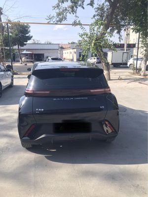 BYD seagull 405 tali
