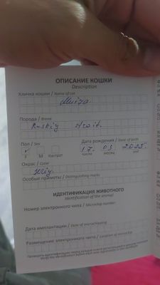Mushuk