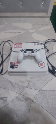 Plasteshin 4 Slim
