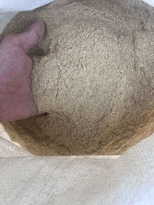 sholi kepak 1400/kg