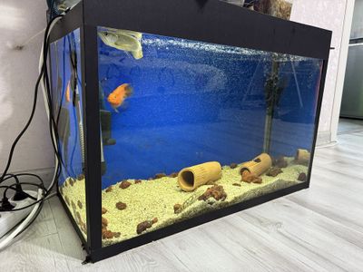 Срочно продам аквариум не дорого