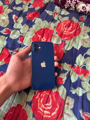 iPhone 12 sotiladi