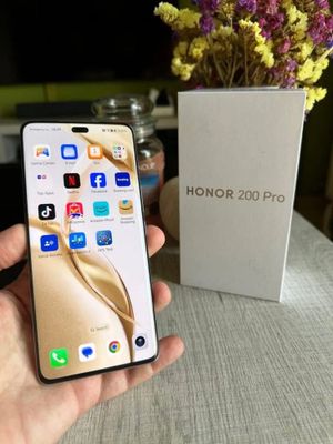 Honor 200 Pro 512GB