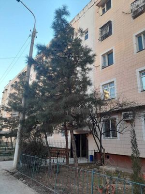 Срочно продается 1-комнатная квартира 38кв.м. 43,000$