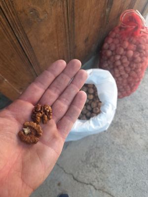 Продаю грецкие орехи