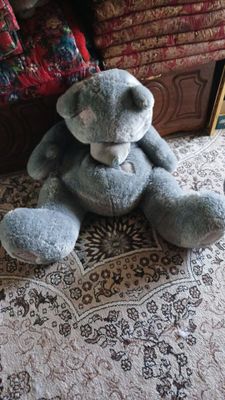 ayiq sotiladi holati zor narx keliwiladi