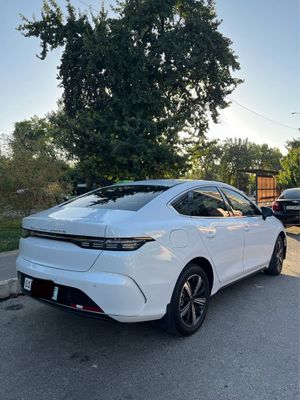 2023 ideal xolata 4 pazitsa full