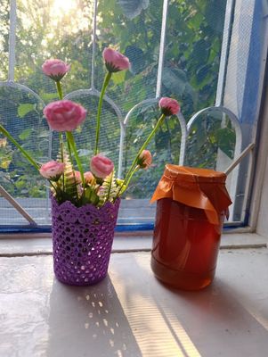 Натуральный узбекистанский мед с цветков седаны.Первая качка .