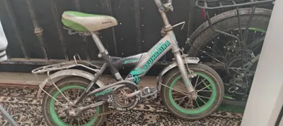 Velosiped, holati o'rtacha