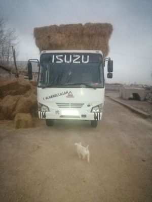 Isuzu aftobus 2011