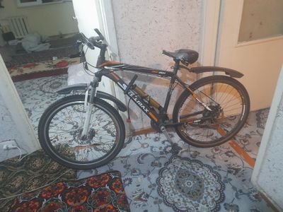 Velosiped Skillmax BQ-001
