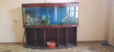 аквариум продаётся