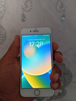 ipxon 8 xolati yashi bir aybi orqa korishka singan