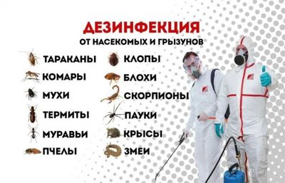 dezinfeksiya dizinfeksiya дезинфекция дизинфекция клоп Dezinfeksi