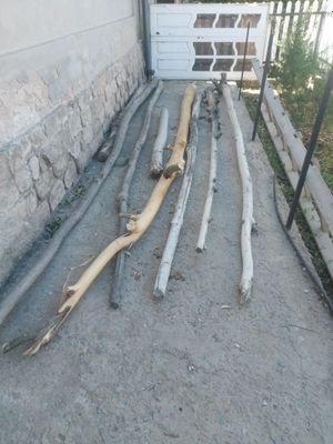 Агаш сатылады бахасы 100 мынгнан