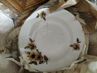 Тарелки шишки и подсолнух