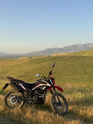 Lifan X-TRIAL LF250GY-4D