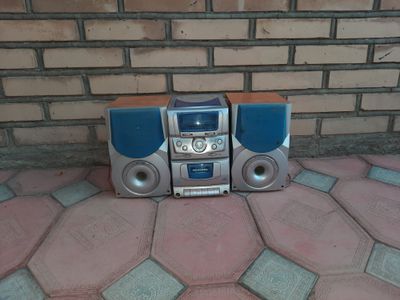 Panasoanic sentr va kalonkasi sotiladi